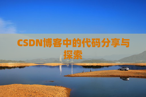 CSDN博客中的代码分享与探索